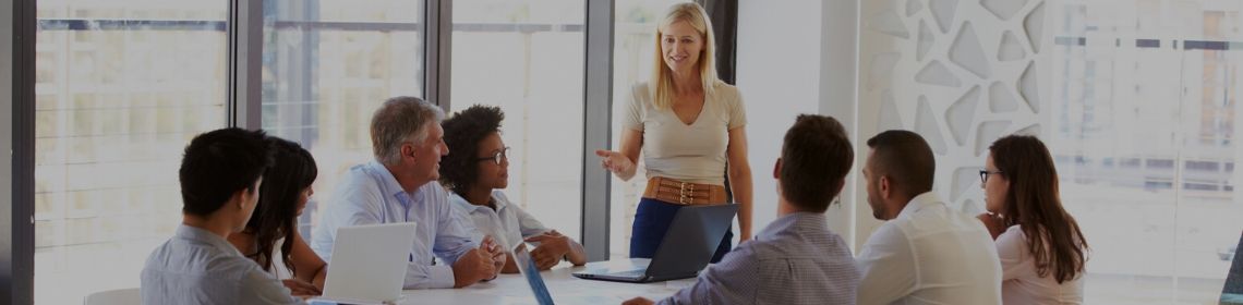 Professional business people having a group discussion