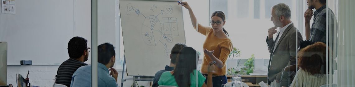 Lady explaining business information to team