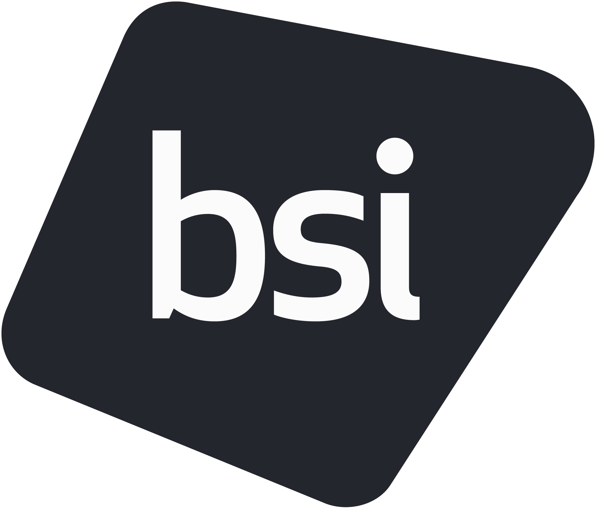 bsi-logo-2025