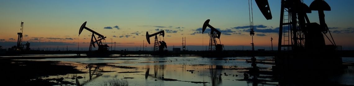 Global interoperability in the oil and gas industry