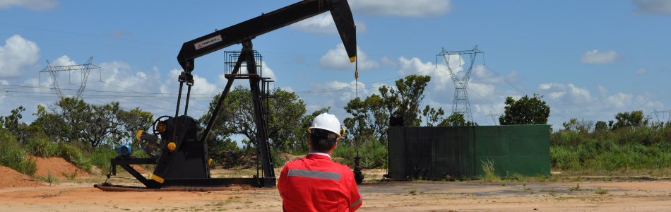 API Standards | Intertek Inform