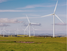 4 ways to empower business with Sustainability challenges