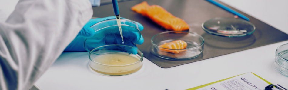 Food and beverage standards