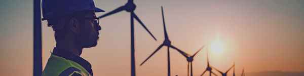 Renewable Energy Standards