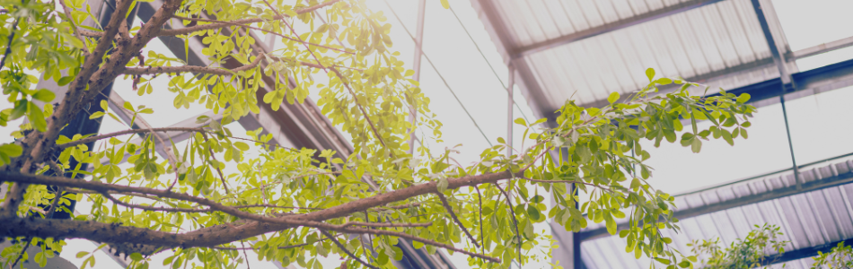 Sustainability Standards