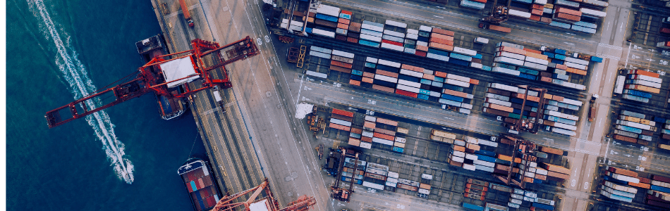 Import and Export Standards