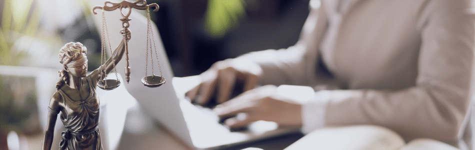 Lawlex, LexConnect and CodeConnect 